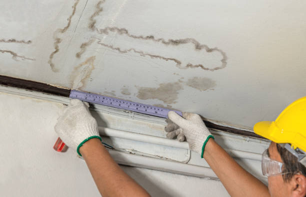 Reliable Mold Remediation contractor in Northwood, NH by Water Damage Irwin